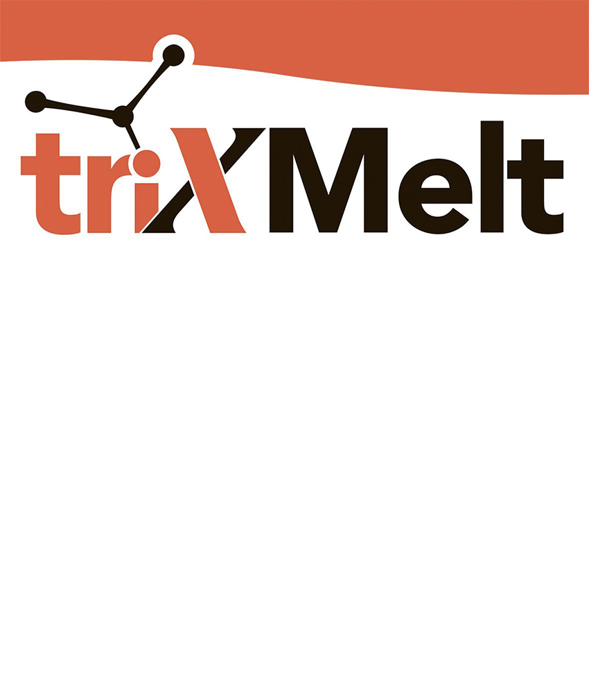 клей TriXMelt