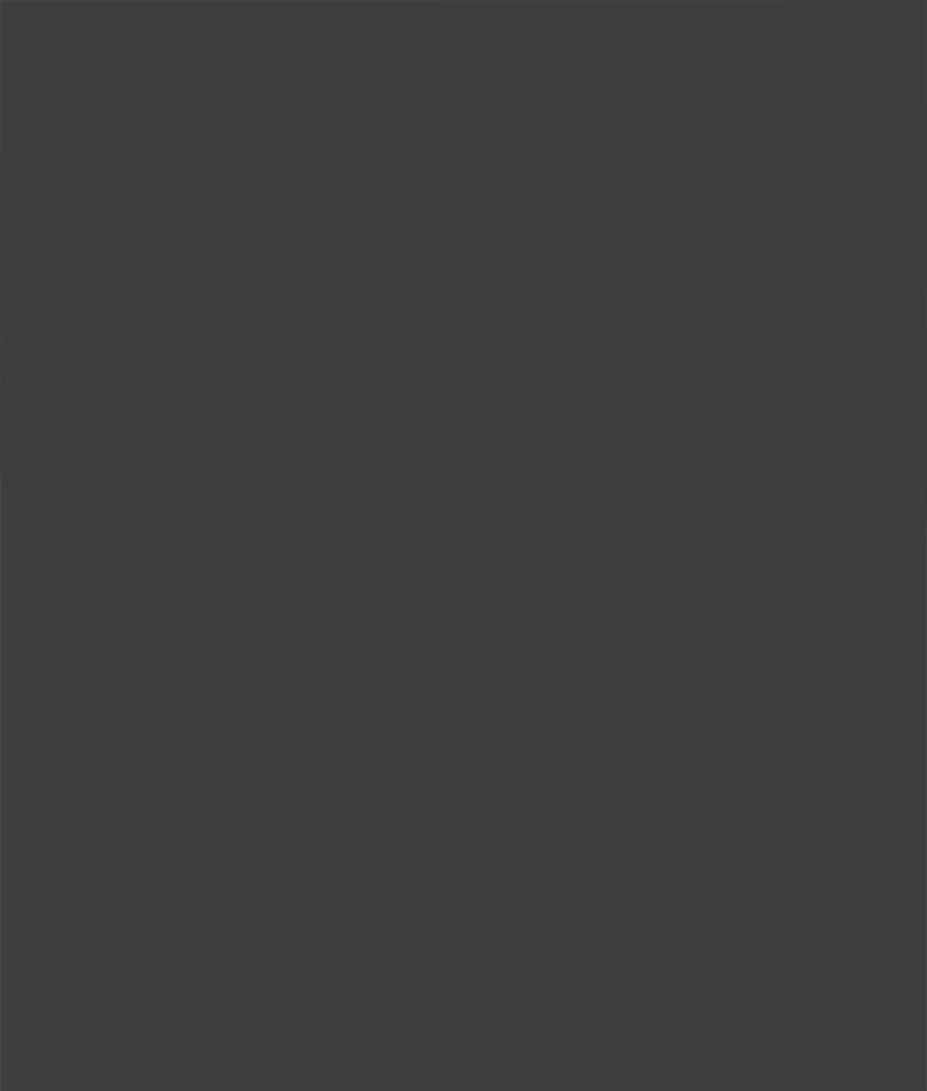 Стеновая панель Серый графитовый 4100х600x10 / M.423.S